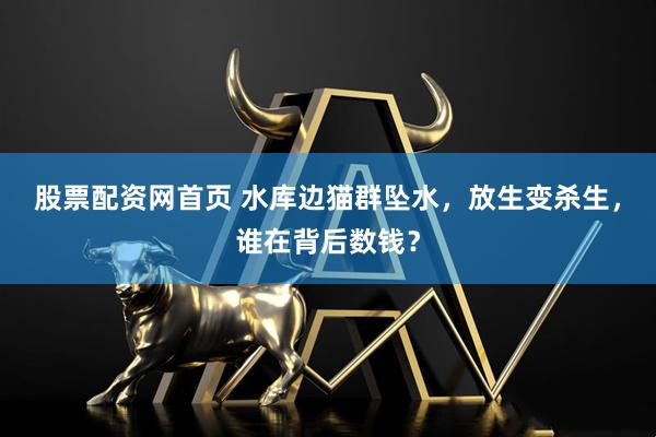 股票配资网首页 水库边猫群坠水，放生变杀生，谁在背后数钱？