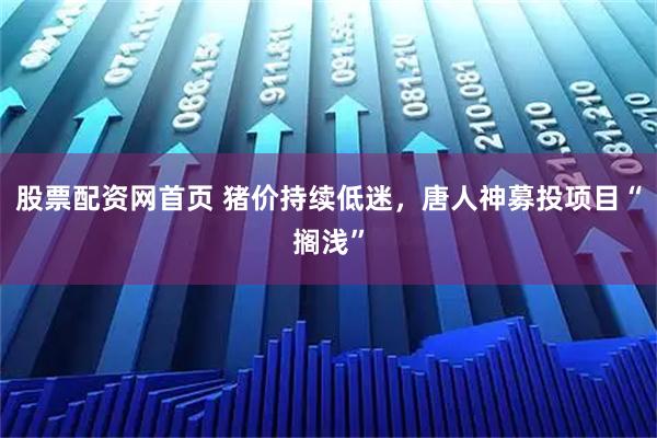 股票配资网首页 猪价持续低迷，唐人神募投项目“搁浅”