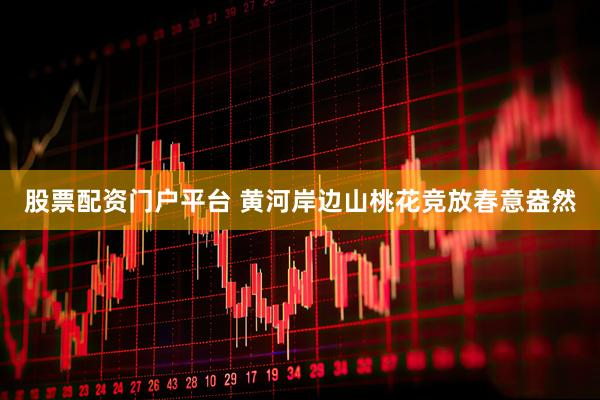 股票配资门户平台 黄河岸边山桃花竞放春意盎然